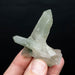 Actinolite in Quartz 47 g 65x53mm - InnerVision Crystals