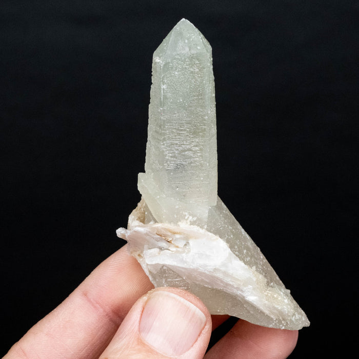 Actinolite in Quartz 59 g 81x52mm - InnerVision Crystals
