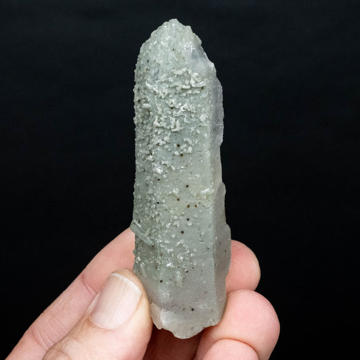 Actinolite in Quartz 62 g 80x25mm - InnerVision Crystals