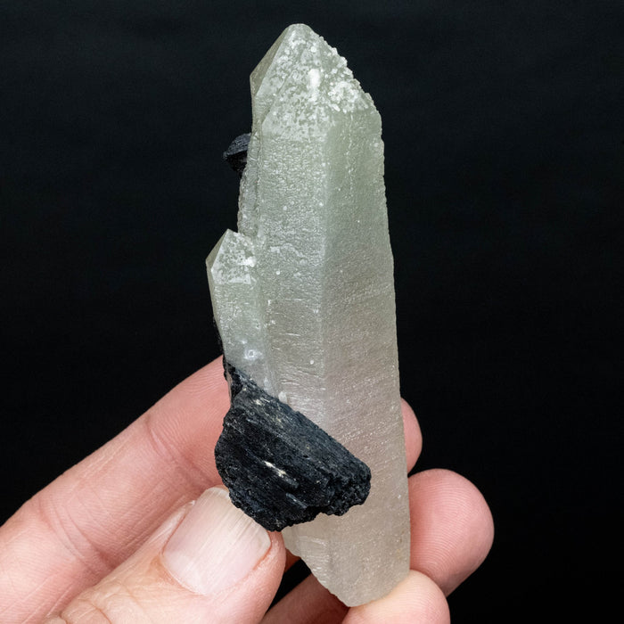 Actinolite in Quartz 68 g 87x24mm - InnerVision Crystals