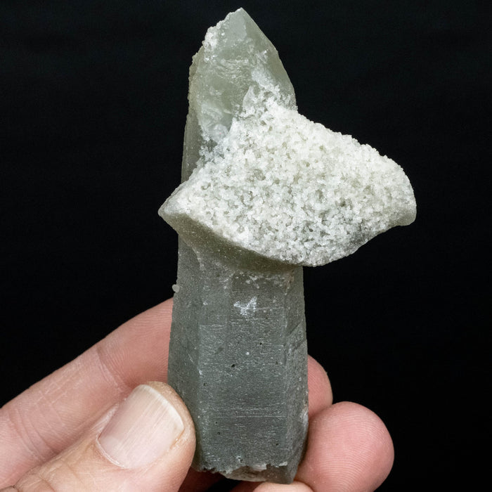 Actinolite in Quartz 68 g 87x43mm - InnerVision Crystals