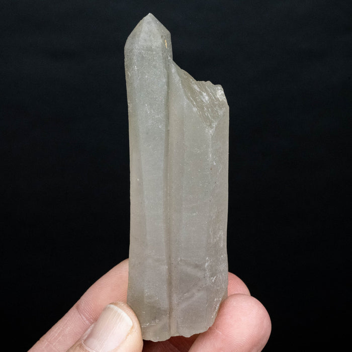 Actinolite in Quartz 71 g 93x27mm - InnerVision Crystals