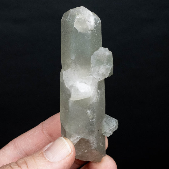 Actinolite in Quartz 83 g 95x29mm - InnerVision Crystals