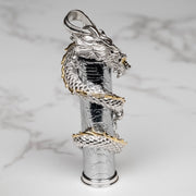 Aletai Meteorite Dragon Pendant .925 Sterling Silver 46x8mm - InnerVision Crystals