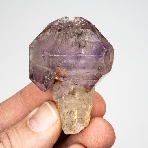 Amethyst Scepter 56 g 55x39mm - InnerVision Crystals