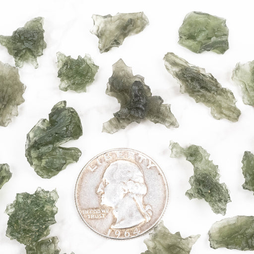 Besednice Moldavite 20 g B Grade Wholesale Lot - InnerVision Crystals