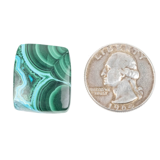 Chryscocolla + Malachite Cabochon 30.70 ct 23x19mm - InnerVision Crystals