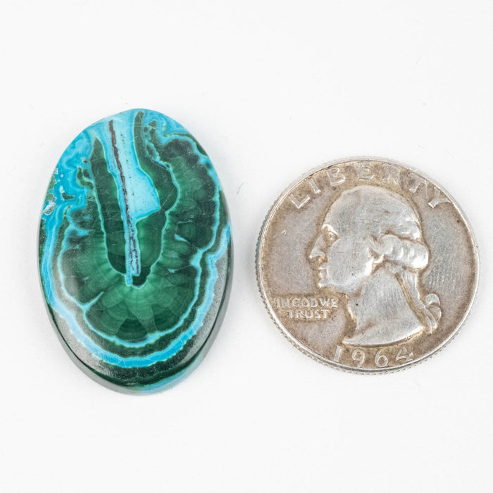 Chryscocolla + Malachite Cabochon 38 ct 31x21mm - InnerVision Crystals