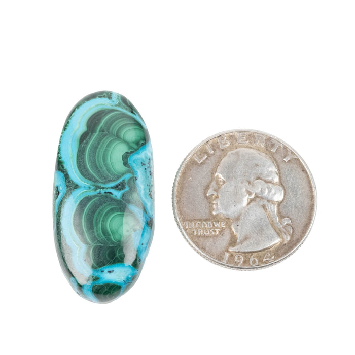 Chryscocolla + Malachite Cabochon 45.30 ct 35x17mm - InnerVision Crystals