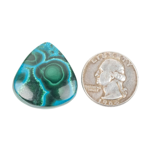 Chryscocolla + Malachite Cabochon 51.40 ct 29x27mm - InnerVision Crystals