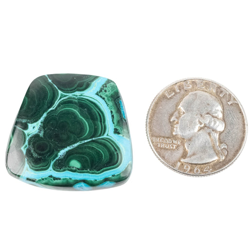 Chryscocolla + Malachite Cabochon 55.30 ct 30x28mm - InnerVision Crystals