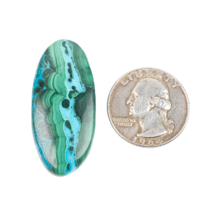 Chryscocolla + Malachite Cabochon 60.65 ct 40x19mm - InnerVision Crystals