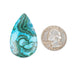 Chryscocolla + Malachite Cabochon 60.65 ct 41x25mm - InnerVision Crystals