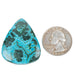 Chryscocolla + Malachite Cabochon 67.40 ct 36x30mm - InnerVision Crystals