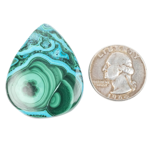 Chryscocolla + Malachite Cabochon 88.70 ct 40x31mm - InnerVision Crystals