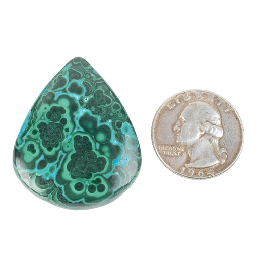 Chryscocolla + Malachite Cabochon 91.10 ct 40x33mm - InnerVision Crystals