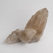 Citrine Crystal 3.15 KG 9"x5.4" DT - InnerVision Crystals