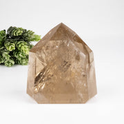 Citrine Polished Point 620 g 97x88mm - InnerVision Crystals