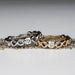 Diamond Infinity Band 5 Stone Ring 1/2 ctw - InnerVision Crystals