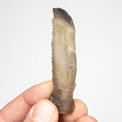 Etched Smoky Citrine 22 g 72x16mm - InnerVision Crystals