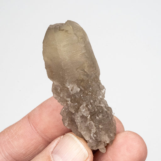 Etched Smoky Citrine 30 g 59x19mm - InnerVision Crystals