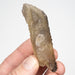 Etched Smoky Citrine 60 g 82x23mm - InnerVision Crystals