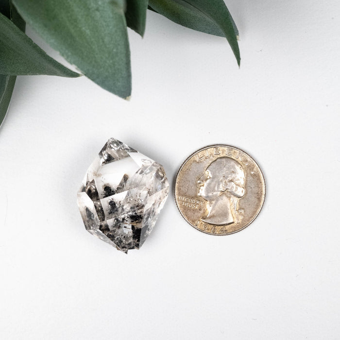 Herkimer Diamond Quartz Crystal 12.84 g 29x23x17mm - InnerVision Crystals