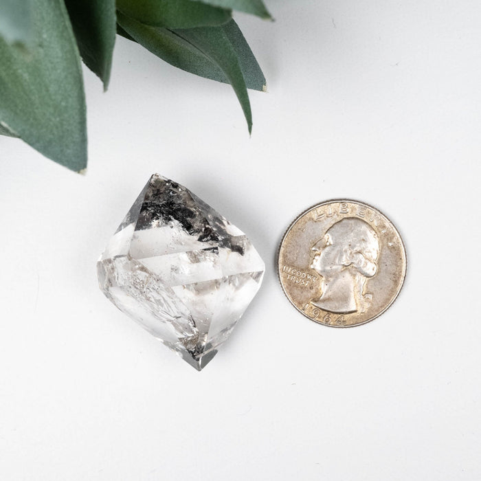 Herkimer Diamond Quartz Crystal 22.73 g 36x28x25mm - InnerVision Crystals