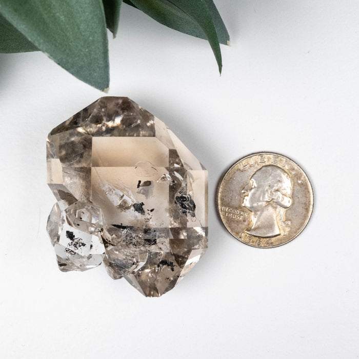 Herkimer Diamond Quartz Crystal A+ 54 g 47x37x24mm - InnerVision Crystals