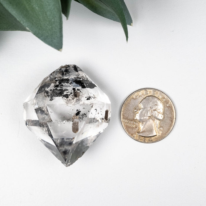 Herkimer Diamond Quartz Crystal A+ w Anthraxolite 40.86 g 41x36x29mm - InnerVision Crystals