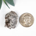 Herkimer Diamond Quartz Crystal Cluster 12.72 g 28x22x21mm - InnerVision Crystals