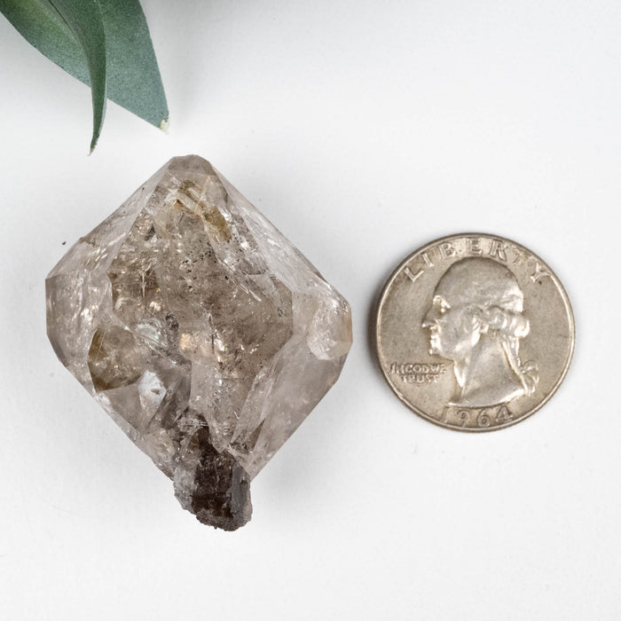 Herkimer Diamond Quartz Crystal Scepter 36.76 g 42x35x27mm - InnerVision Crystals