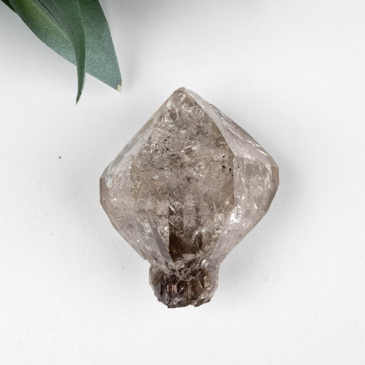 Herkimer Diamond Quartz Crystal Scepter 36.76 g 42x35x27mm - InnerVision Crystals