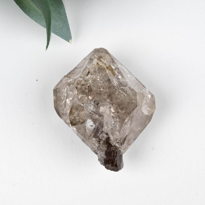 Herkimer Diamond Quartz Crystal Scepter 36.76 g 42x35x27mm - InnerVision Crystals