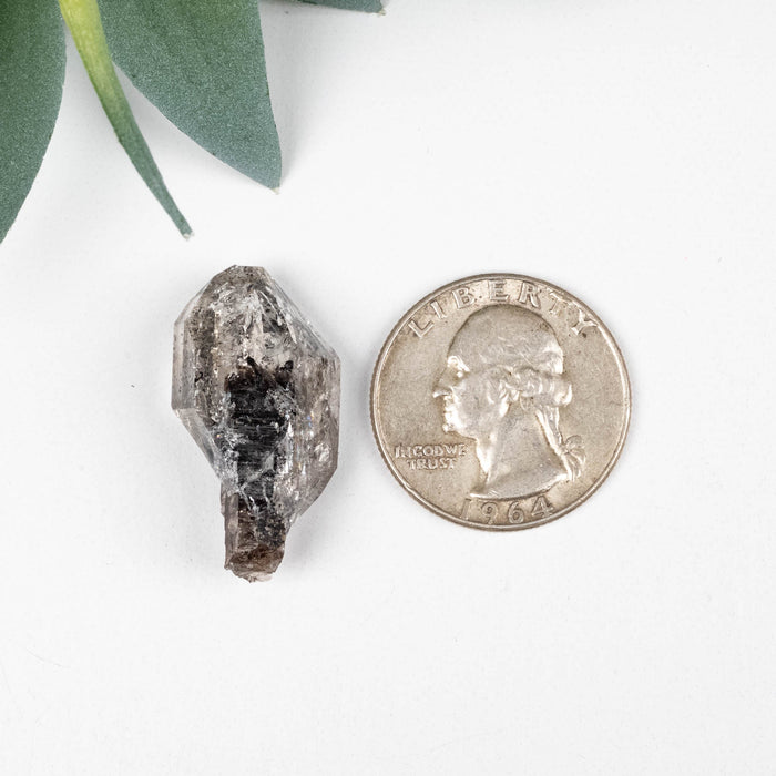 Herkimer Diamond Quartz Crystal Scepter 5.32 g 28x13x11mm - InnerVision Crystals