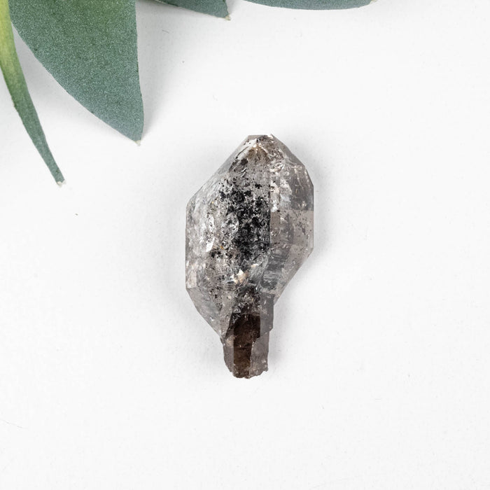 Herkimer Diamond Quartz Crystal Scepter 5.32 g 28x13x11mm - InnerVision Crystals