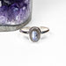 Labradorite Ring 7x5mm Size 6 - InnerVision Crystals