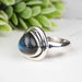 Labradorite Ring 8.5mm Size 4 - InnerVision Crystals