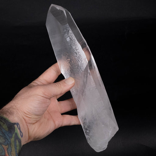 Lemurian Seed Crystal 1150 g 10.5"x2.7" Record Keepers - InnerVision Crystals