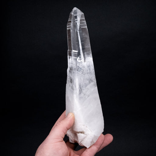Lemurian Seed Crystal 1224 g 9.75"x3.1" - InnerVision Crystals