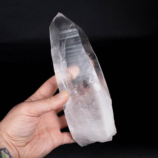 Lemurian Seed Crystal 1240 g 8.5"x3" Record Keepers - InnerVision Crystals