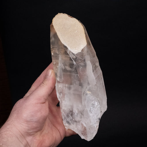 Lemurian Seed Crystal 1276 g 197x85mm w/ Secondary Quartz Growth - InnerVision Crystals