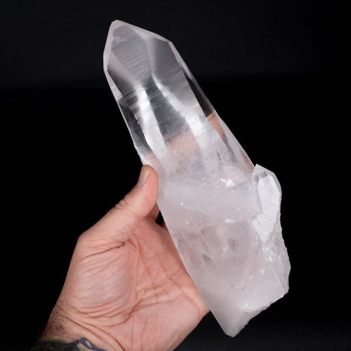 Lemurian Seed Crystal 1295 g 9.4"x2.8" Record Keepers - InnerVision Crystals