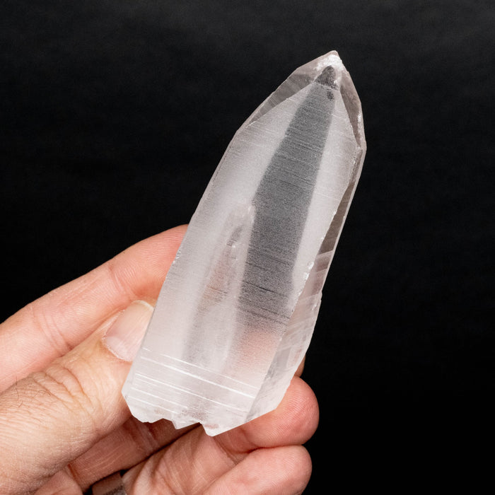 Lemurian Seed Crystal 130 g 98x48mm DT *DING - InnerVision Crystals