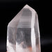Lemurian Seed Crystal 1615 g 7.5"x3.4" Record Keepers DT Self Healed - InnerVision Crystals