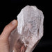 Lemurian Seed Crystal 1615 g 7.5"x3.4" Record Keepers DT Self Healed - InnerVision Crystals
