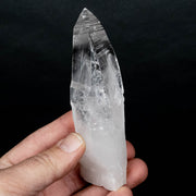 Lemurian Seed Crystal 181 g 121x33mm - InnerVision Crystals