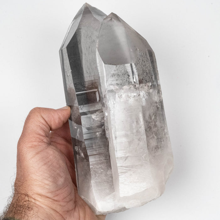 Lemurian Seed Crystal 1973 g 204x88mm Black Phantom *DING - InnerVision Crystals