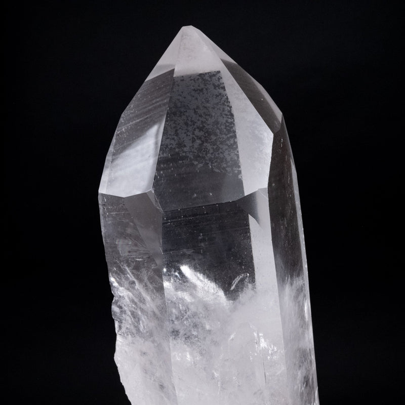 Lemurian Seed Crystal 2404 g 10"x3.5" - InnerVision Crystals