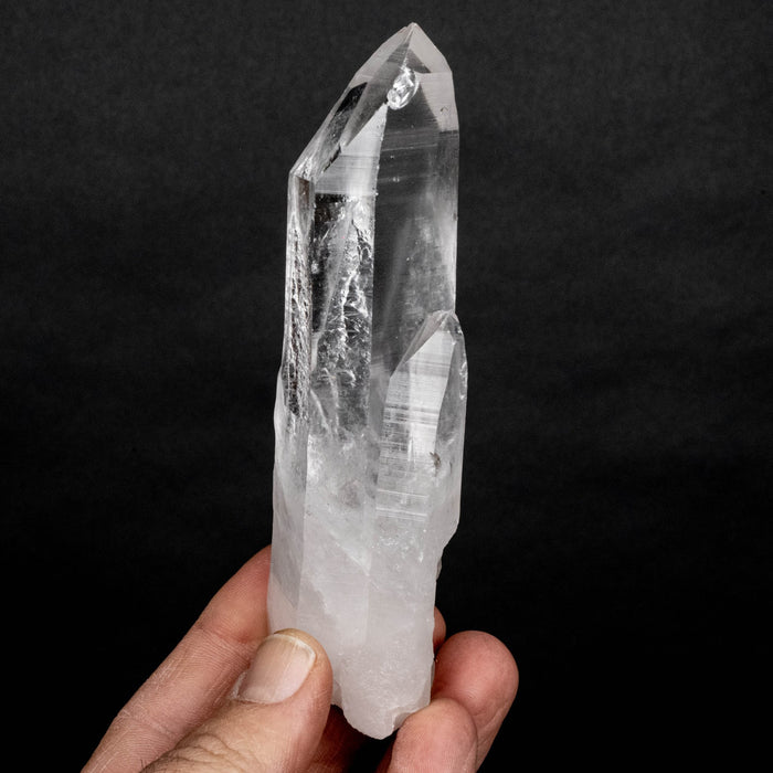 Lemurian Seed Crystal 242 g 132x40mm - InnerVision Crystals